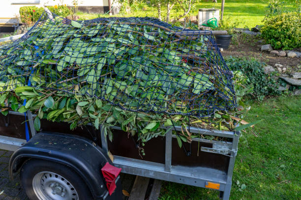 Best Shed Removal  in Athens, AL